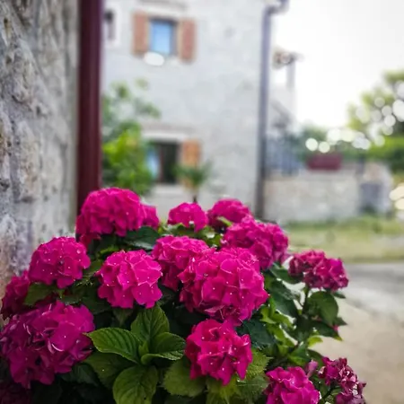 Appartement Branko Starigrad Paklenica