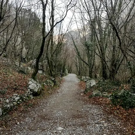 Branko Starigrad Paklenica