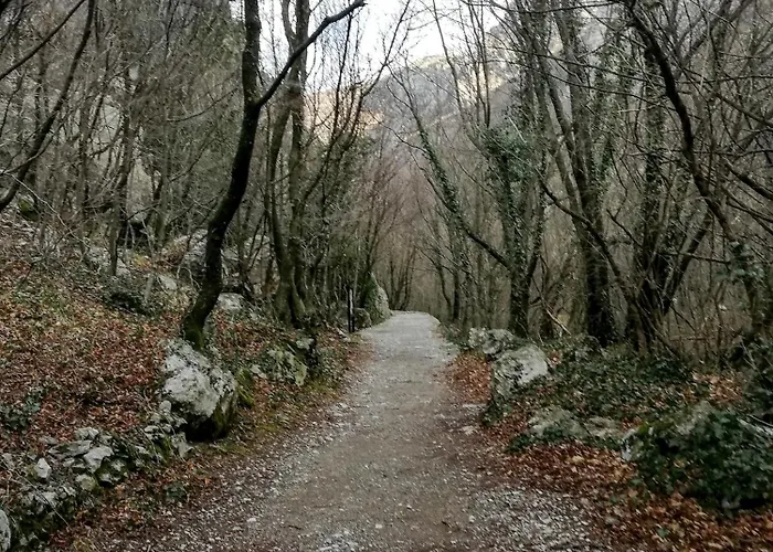 Branko Starigrad Paklenica