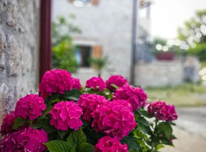 Lejlighed Branko Starigrad Paklenica