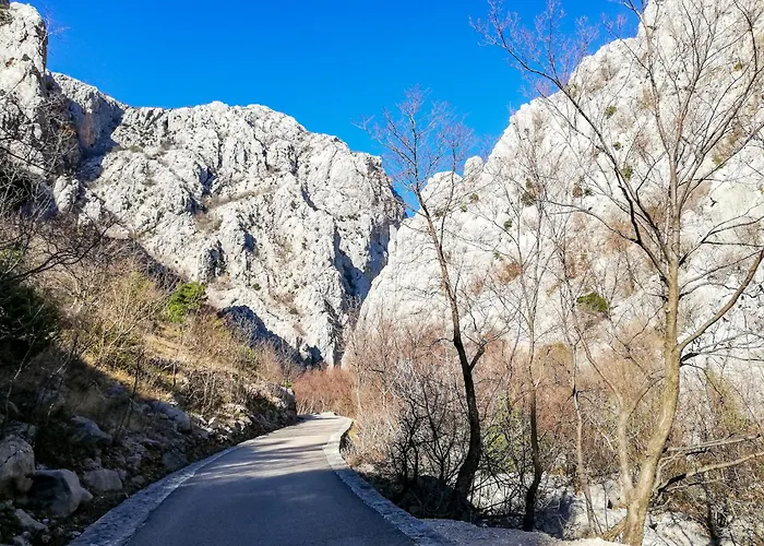 Διαμέρισμα Branko