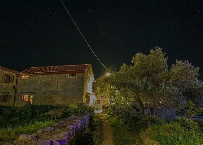 Διαμέρισμα Branko *