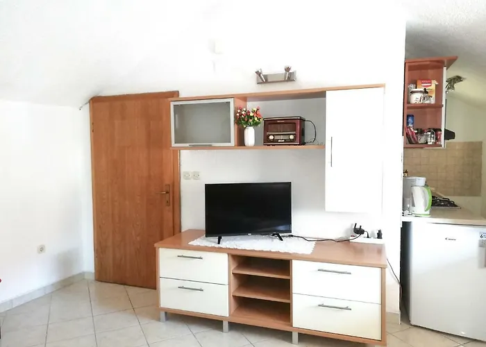 Διαμέρισμα Branko *